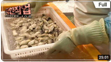 [극한직업] 통영 굴양식 2부