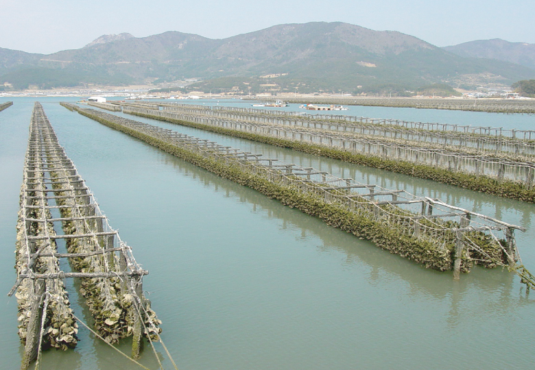 단련 (매년 9월부터 익년 4월까지)